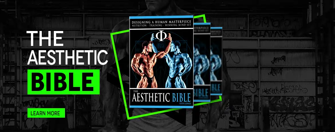 The Aesthetic Bible by Steve Jones