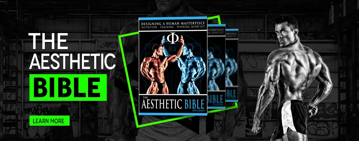 The Aesthetic Bible by Steve Jones