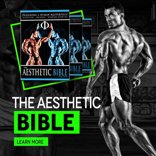 The Aesthetic Bible Book a