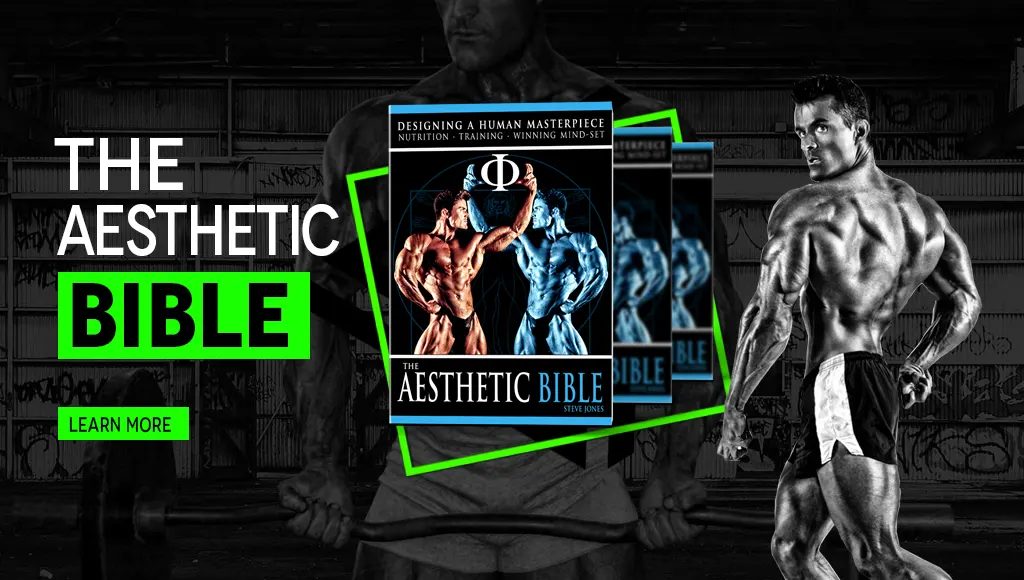 The Aesthetic Bible Book by Steve Jones